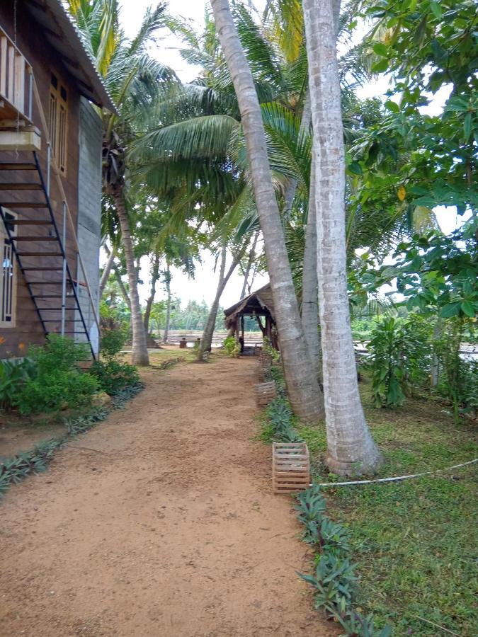 Coconut Island Yala Safari Place Tissamaharama Zewnętrze zdjęcie