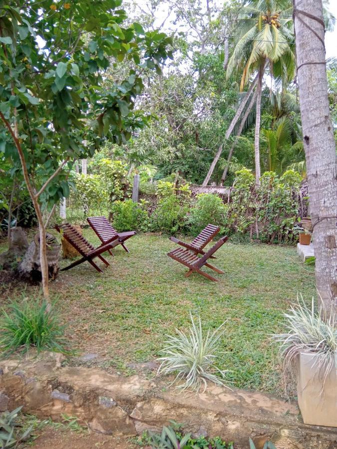 Coconut Island Yala Safari Place Tissamaharama Zewnętrze zdjęcie
