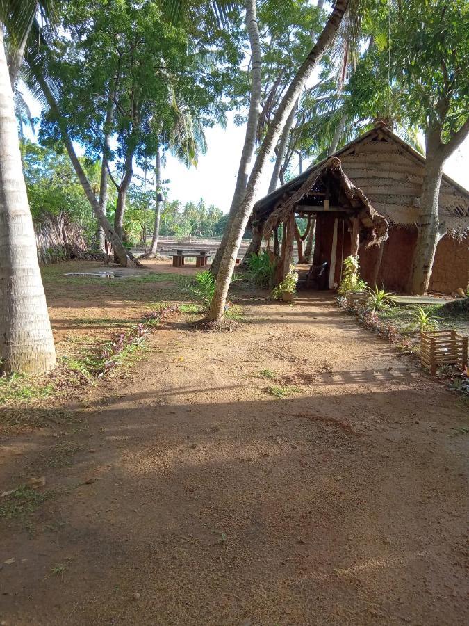Coconut Island Yala Safari Place Tissamaharama Zewnętrze zdjęcie