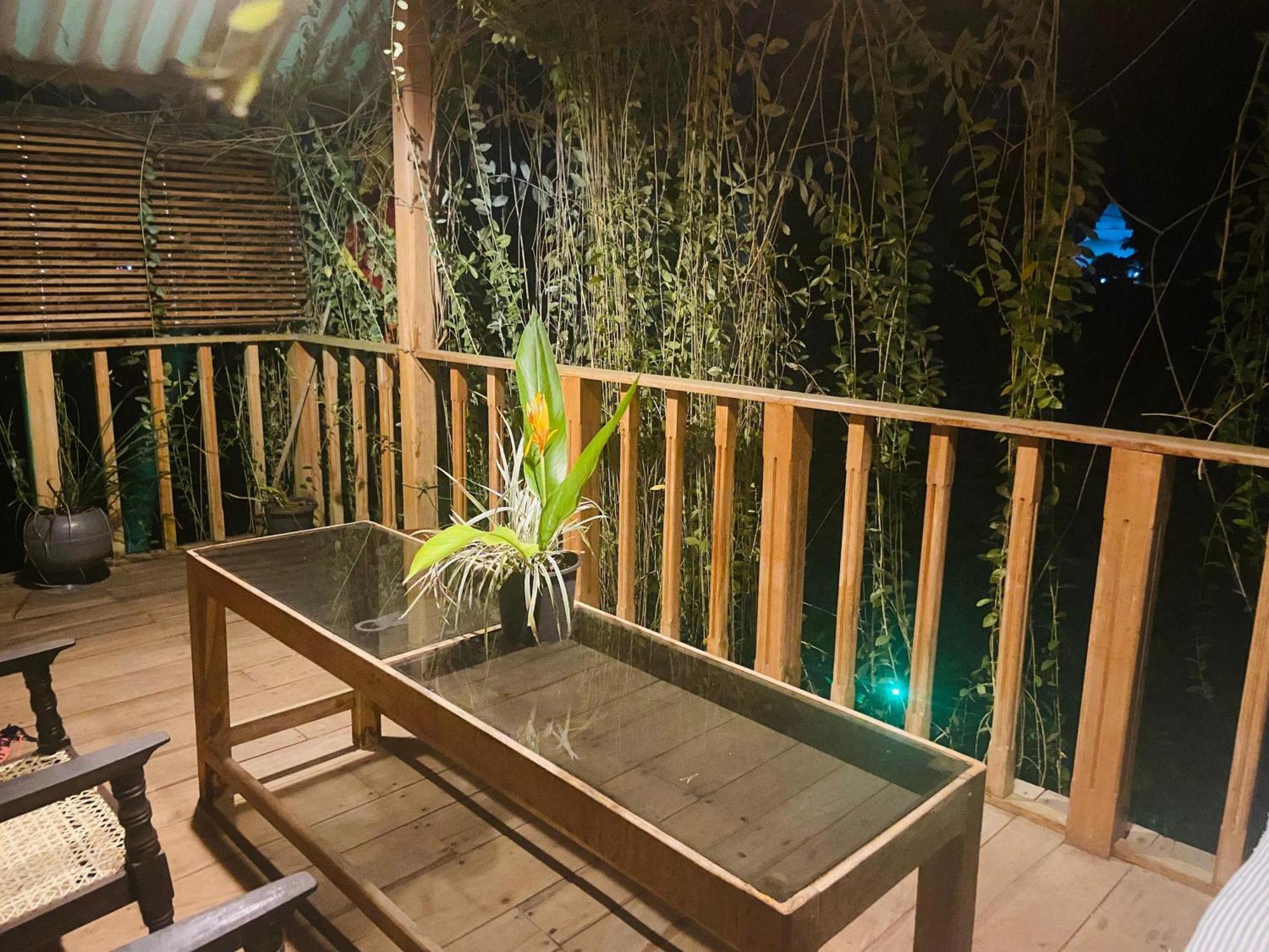 Coconut Island Yala Safari Place Tissamaharama Zewnętrze zdjęcie