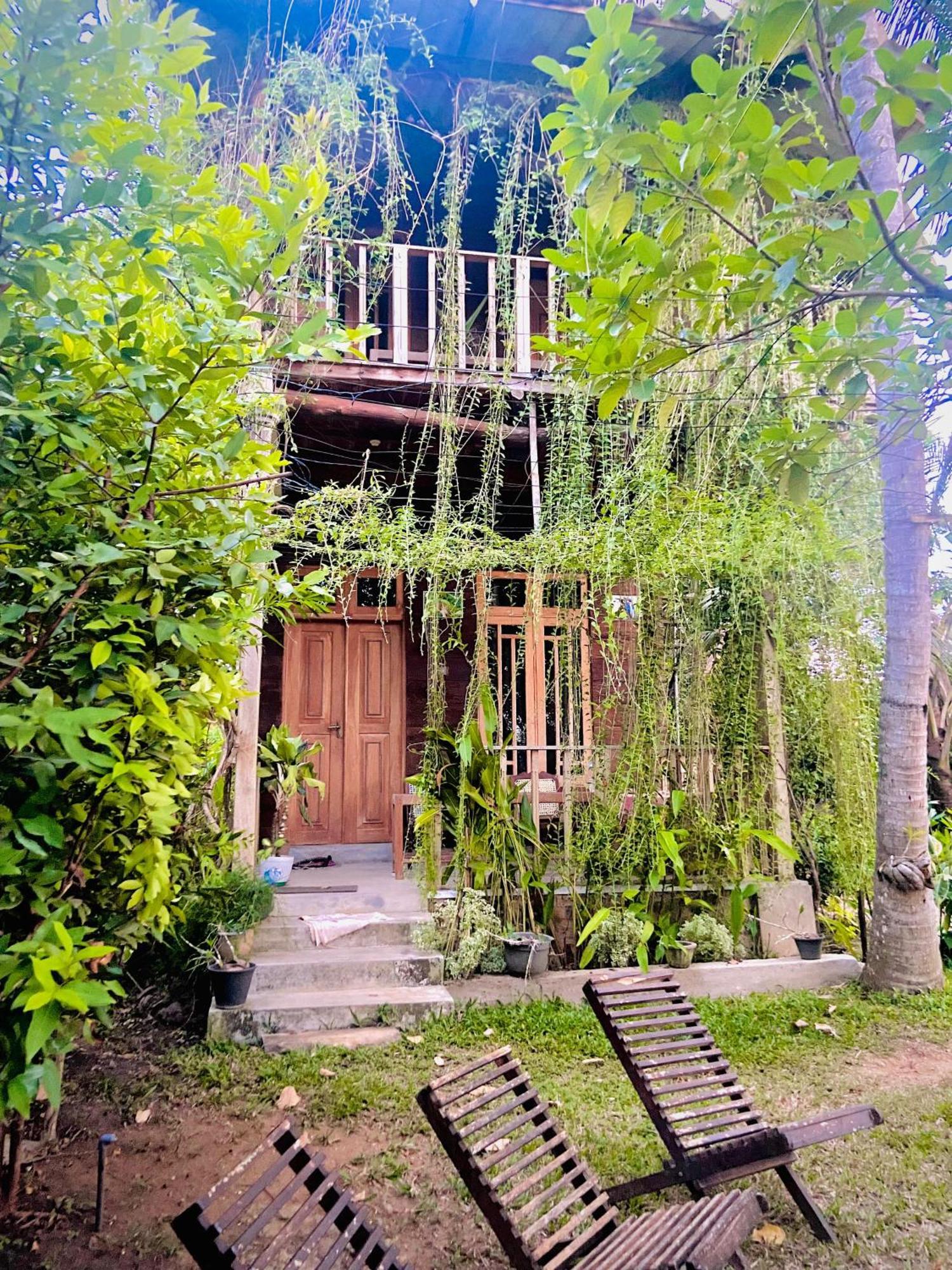 Coconut Island Yala Safari Place Tissamaharama Zewnętrze zdjęcie