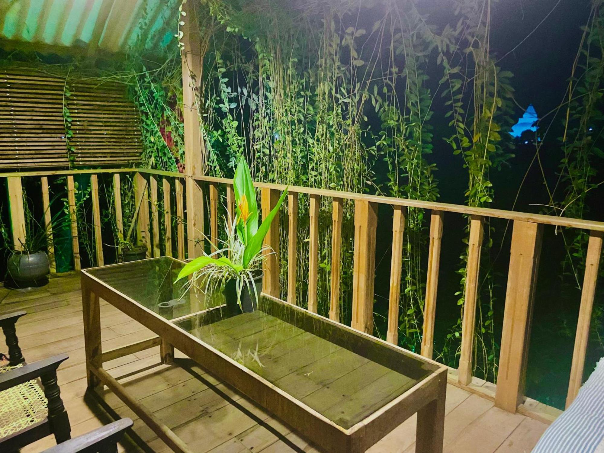 Coconut Island Yala Safari Place Tissamaharama Zewnętrze zdjęcie