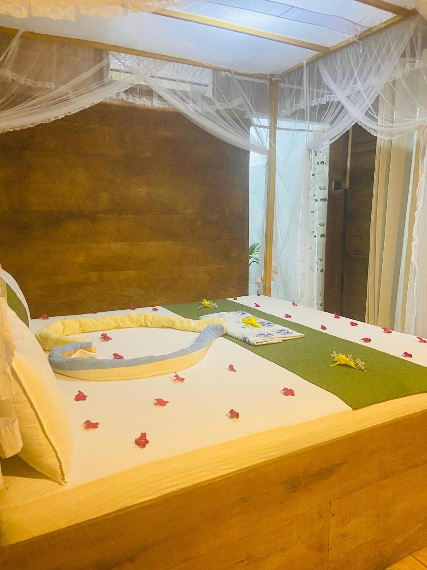 Coconut Island Yala Safari Place Tissamaharama Zewnętrze zdjęcie