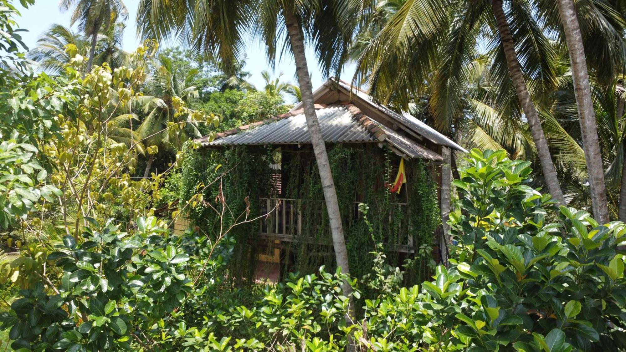 Coconut Island Yala Safari Place Tissamaharama Zewnętrze zdjęcie
